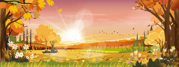 Paysages Automnaux Campagne Soirée Coucher Soleil Avec Ciel Orange Rose — Image vectorielle