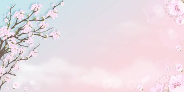 Mavi ve pembe renkli gökyüzü arka planında bahar elması çiçeği, İlkbaharda çiçek açan pembe sakura dalları, ilkbaharda düşen yapraklar, bahar veya yaz için tatlı arka plan