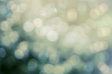 Yağmurdan sonra doğal yeşil bokeh 'in bulanık bulanık, bulanık görüntüsü sabah arka planında parlayan güneş ışığı.