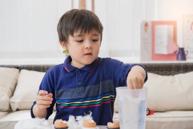 Çocuk portresi yumurta kabuğunda tohum yetiştiriyor, çocuk kâşifi ve evde doğa hakkında bilgi topluyor, sebze tohumu ekiyor, yazın çocuklar için faaliyet gösteriyor.