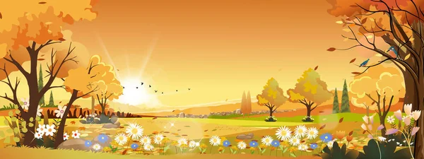 Paysages Automne Campagne Dans Soirée Coucher Soleil Avec Ciel Orange — Image vectorielle
