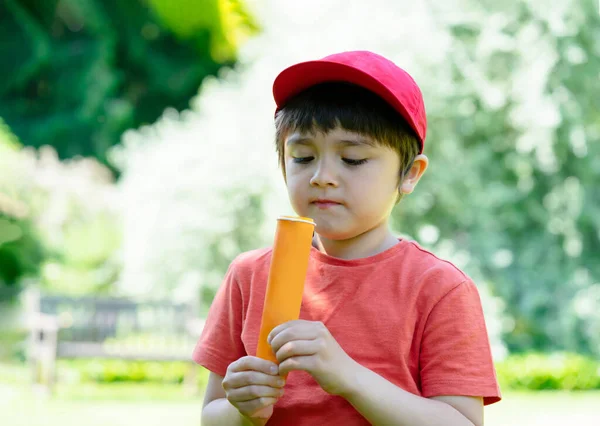 Portrait Kid Eating Ice Lolly Blurry Nature Background Happy Little — Stock fotografie