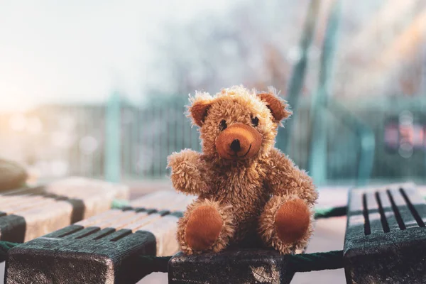 Feliz Oso Peluche Con Cara Sonriente Sentado Puente Madera Soleado —  Fotos de Stock