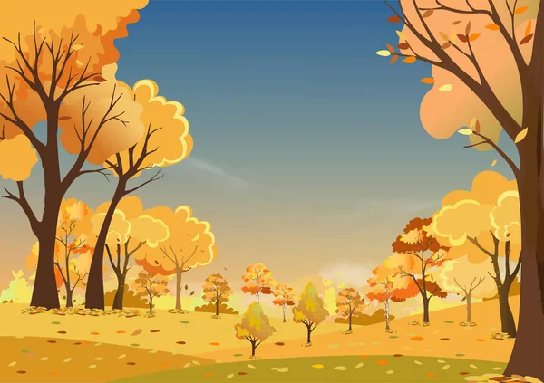 夕方の田舎の秋の風景夕焼け空 畑の中の秋のパノラマ オレンジの葉の木から落ちる葉を持つ野生の森 秋の不思議の国 — ストックベクタ