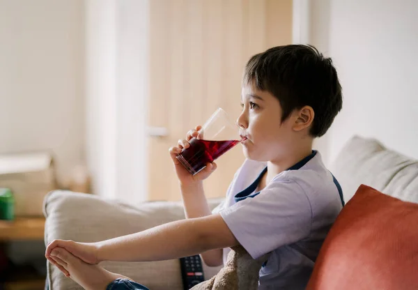 Kid Dricka Tranbärsjuice Från Glas Medan Tittar Friska Gammal Pojke — Stockfoto