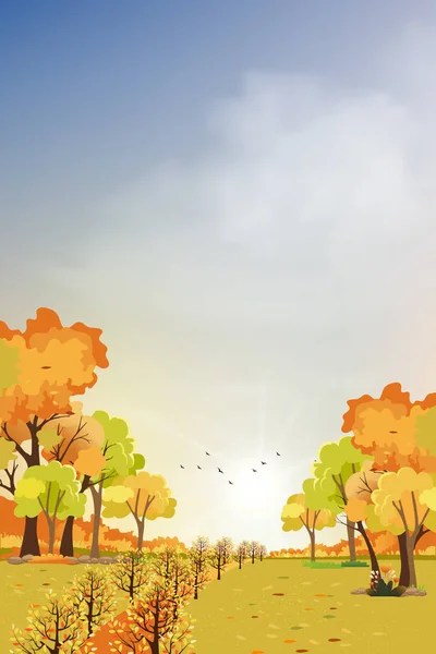 Autumn Landscape Wonderland Forest Grassland Mid Autumn Maples Orange Foliage — Stock Vector