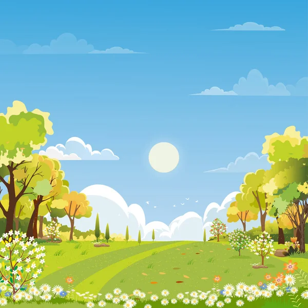 Frühling Landschaft Wunderland Wald Mit Grasland Morgen Vector Sommerzeit Park — Stockvektor