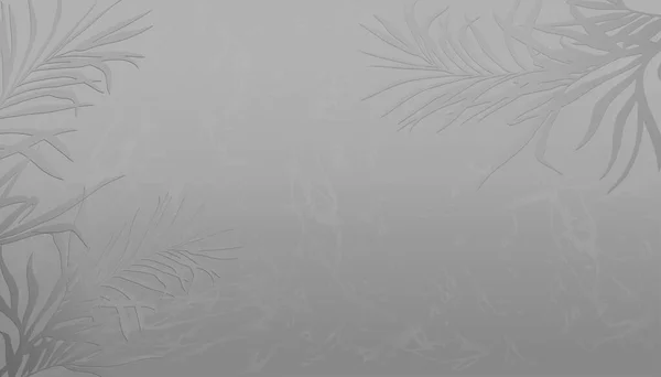 Пустой Стены Студии Комната Серого Мрамора Пальмовыми Листьями Фона Фон — стоковый вектор