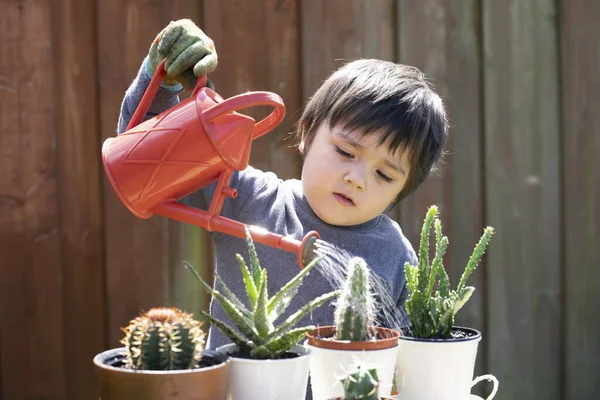 Petits Enfants Âge Préscolaire Arrosage Des Plantes Avec Eau Peut — Photo