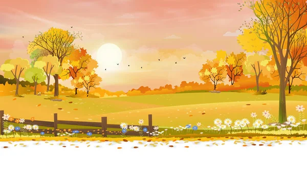 秋の田園風景農場フィールドとオレンジの空の夕日と森の木 ベクトル漫画の背景フィールド収穫 秋の季節の背景の日の出と自然の田園地帯の平和的な風景 — ストックベクタ