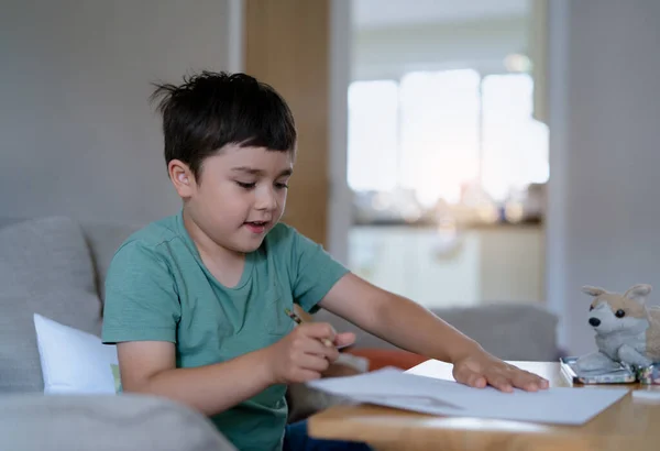 白い紙に鉛筆画を描く少年 学校の宿題をする少年 週末に家で芸術品や工芸品を作ることを楽しむ幸せな混合レースの子供 家庭教育 — ストック写真