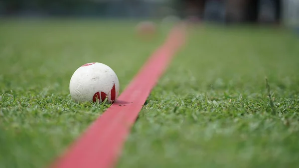 Gateball is a mallet team sport inspired by croquet. It is a fast-paced, non-contact, highly strategic team game, which can be played by anyone regardless of age or gender.