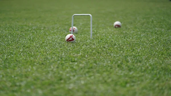 Gateball is a mallet team sport inspired by croquet. It is a fast-paced, non-contact, highly strategic team game, which can be played by anyone regardless of age or gender.