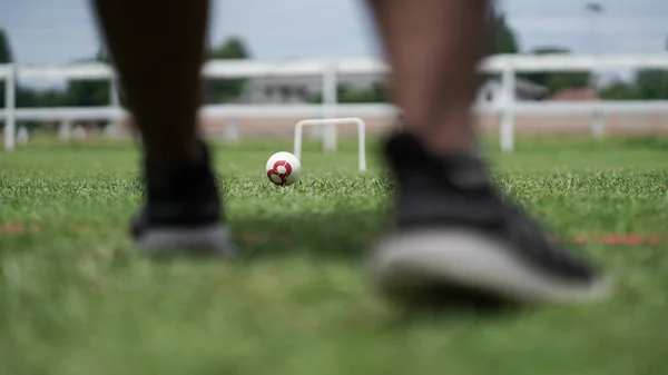 Gateball is a mallet team sport inspired by croquet. It is a fast-paced, non-contact, highly strategic team game, which can be played by anyone regardless of age or gender.