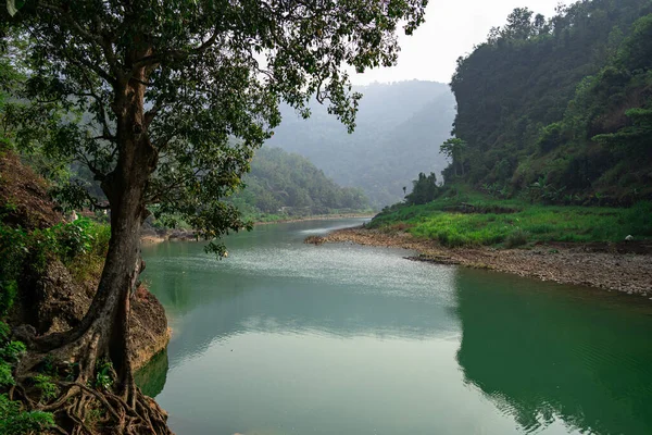 Belle Vue Sur Une Rivière Calme Entourée Herbe Verte Fraîche — Photo