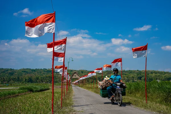 Ряды Индонезийских Национальных Красно Белых Флагов Аккуратно Установлены Рисовых Полях — стоковое фото