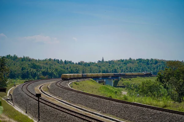 Freight Train Passes Way Line Left Right View Dense Forest — Stock Photo, Image