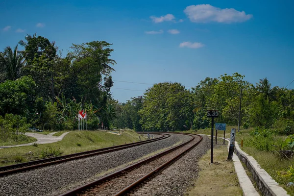 2-way train track with left and right views of dense forest during the day