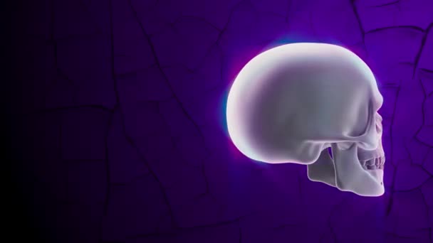 Gloeiende schedel draaiend op paarse achtergrond met scheuren. Halloween 3d animatie — Stockvideo