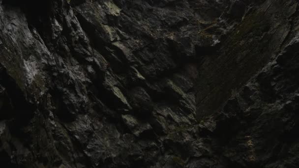 深い暗い洞窟から登る。苔で覆われた生々しい洞窟。4kビデオ — ストック動画