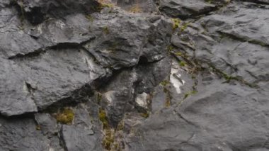 Doğa manzarası. Kayanın ve kayanın ayağının yakınına. 4k seyahat videosu