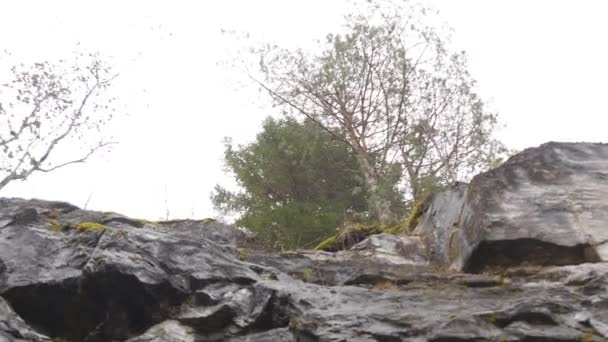 Naturlandskap. Stenens fot och klippan närbild. 4k resevideo — Stockvideo