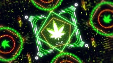 Neon kenevir yaprağı işareti. Kenevir bitkisinin gelecekteki animasyonu. cbd yağı