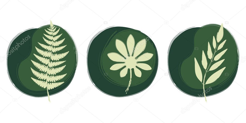 Set of three trendy floral illustrations on abstract background. Plant leaves