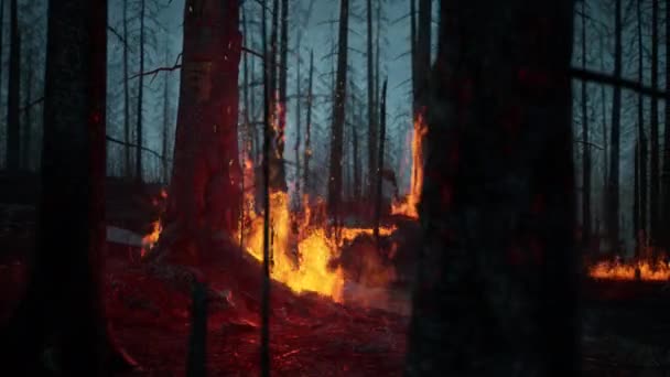 Вогонь у лісі. Спалене дерево у полум'ї. Природні катастрофи. Концепція вирубки лісів — стокове відео