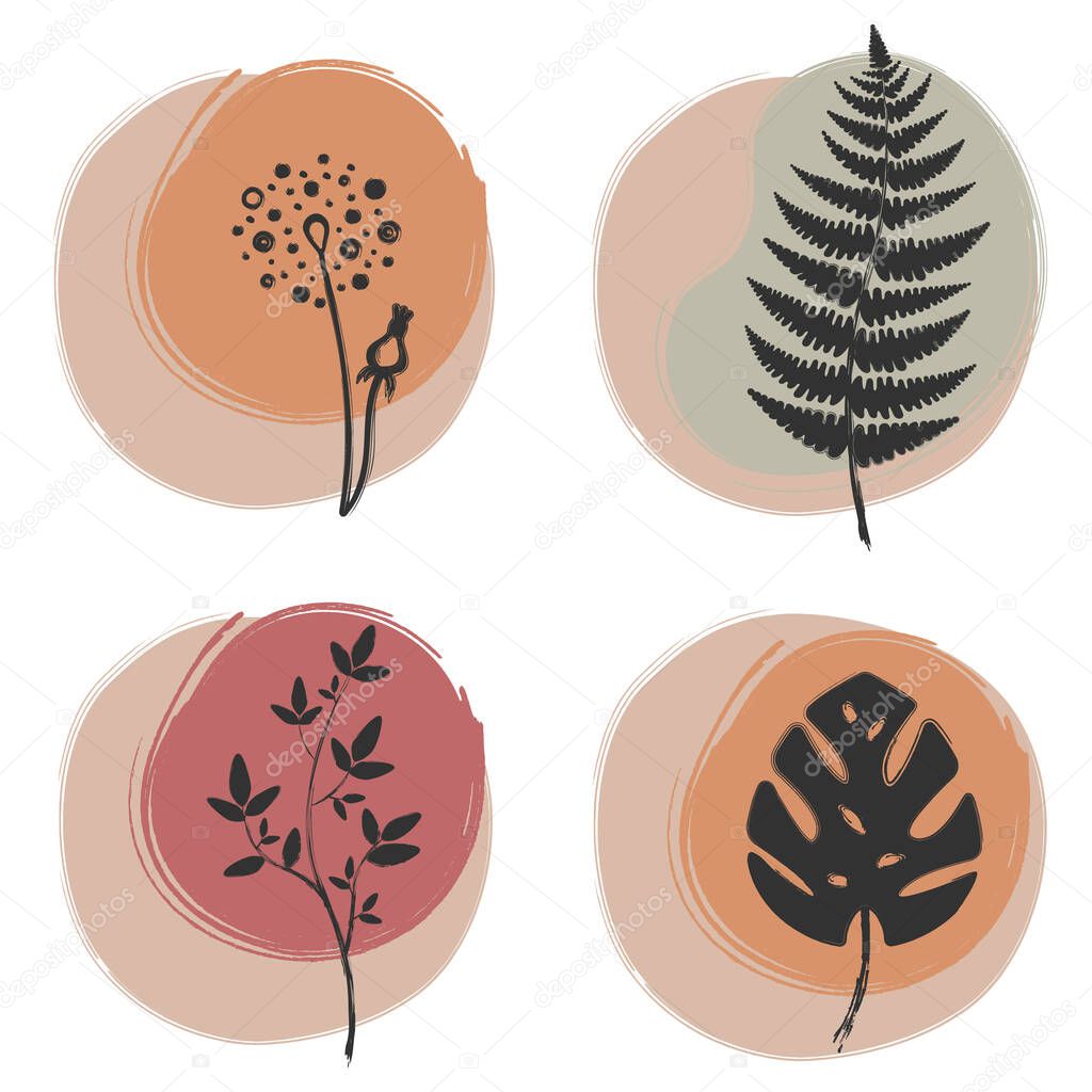 Set of four trendy floral illustrations on abstract background. Plant leaf