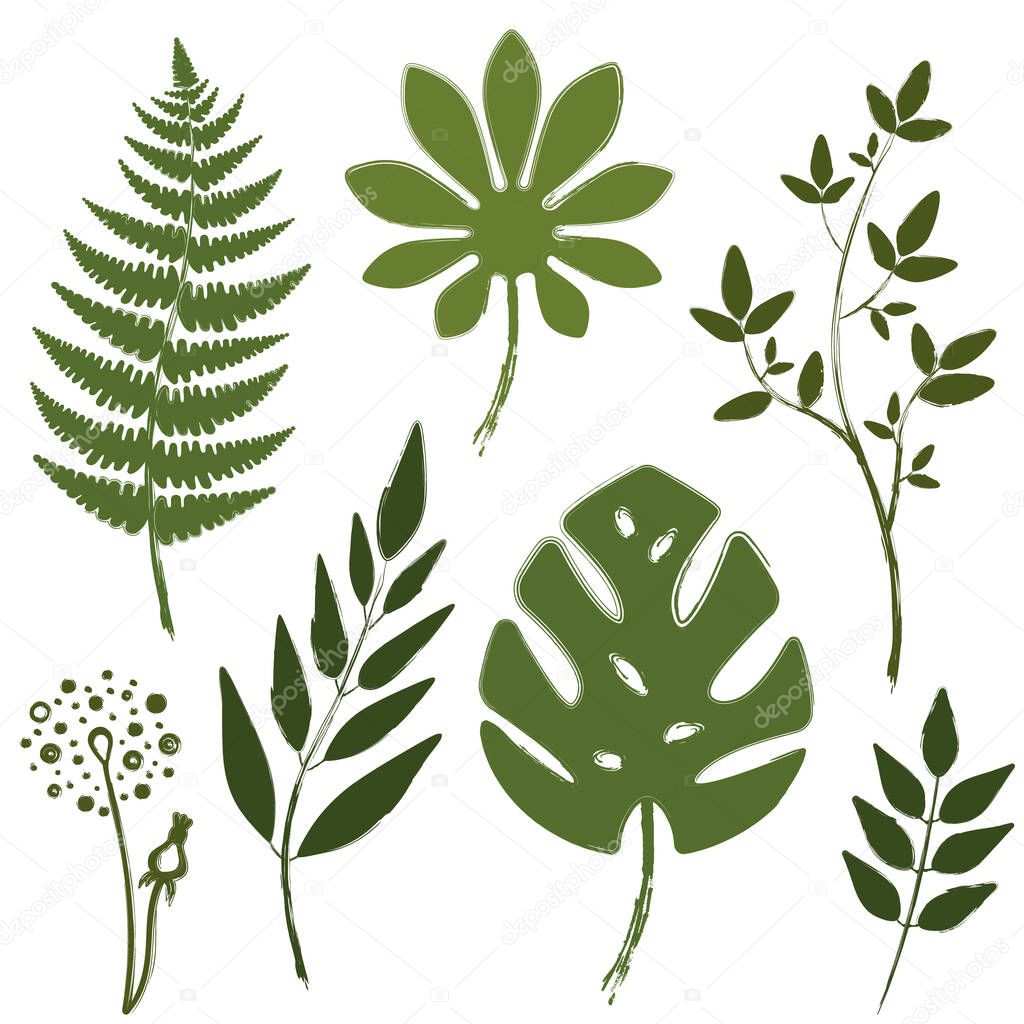 Set of trendy floral illustrations isolated on white. Green plant leaves vector
