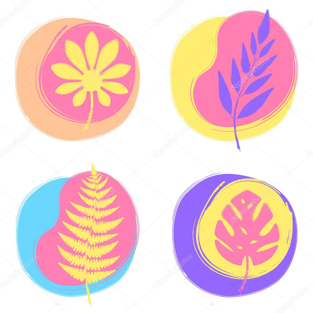 Set of colorful trendy floral illustrations. Monstera, fern and Fatsia japonica