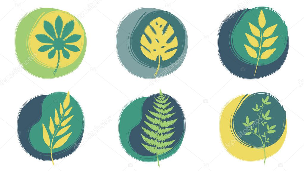 Set of trendy floral illustrations on abstract background. Plant leaf