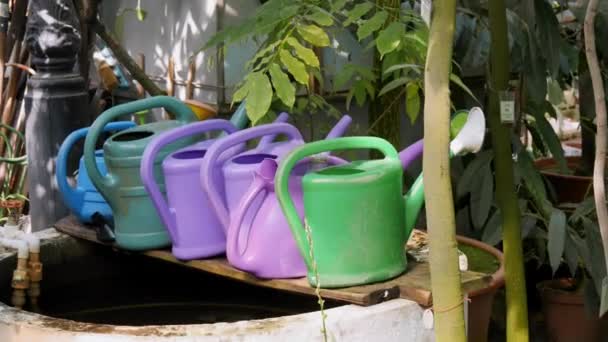 Kolorowe puszki na wodę pozostające na studni lub fontanny w ogrodzie. — Wideo stockowe