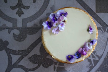 Mavi yabani nonoş çiçekleriyle süslenmiş ev yapımı cheesecake. Gri arkaplanda fotokopi alanı ile üstteki görüntü fotoğrafı.  
