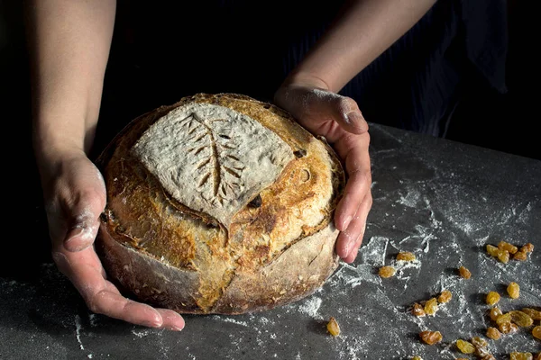 Close up photo of woman\'s hands holding fresh artisan bread with wheat pattern on the top. Beautifully scored round sourdough bread. Healthy eating concept.