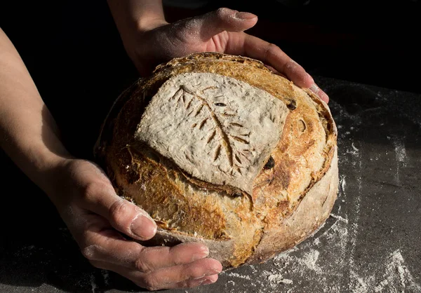 Close up photo of woman\'s hands holding fresh artisan bread with wheat pattern on the top. Beautifully scored round sourdough bread. Healthy eating concept.