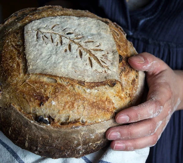 Close up photo of woman\'s hands holding fresh artisan bread with wheat pattern on the top. Beautifully scored round sourdough bread. Healthy eating concept.