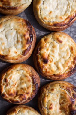 Süzme peynirli açık turtalar. Geleneksel Rus pastanesi. Taze fırınlanmış hamur işleri üst görünüm fotoğrafı.  