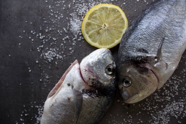 Mutfak masasında pişmemiş balık. Taze Dorado 'nun deniz tuzu ile yakın plan fotoğrafını çek. Gri desenli arka plan. Sağlıklı yeme kavramı.