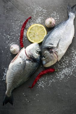 Gri desenli arka planda deniz kepeği dorado. İki çiğ balık, limon dilimleri, kırmızı biber, sarımsak soğanı ve deniz tuzu. Dengeli diyet kavramı. 