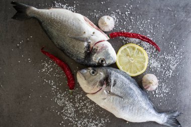 Gri desenli arka planda deniz kepeği dorado. İki çiğ balık, limon dilimleri, kırmızı biber, sarımsak soğanı ve deniz tuzu. Dengeli diyet kavramı. 