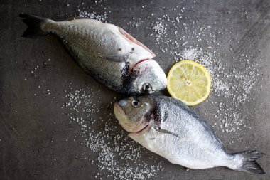 Mutfak masasında pişmemiş balık. Taze Dorado 'nun deniz tuzu ile yakın plan fotoğrafını çek. Gri desenli arka plan. Sağlıklı yeme kavramı.