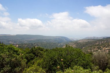 Yeşil ağaçlar ve çalılar, arka plandaki tepeler, bulutlu mavi gökyüzü. İsrail 'de yaz. Hayfa 'nın Ulusal Park manzarası.