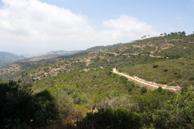 Yeşil ağaçlar ve çalılar, arka plandaki tepeler, bulutlu mavi gökyüzü. İsrail 'de yaz. Hayfa 'nın Ulusal Park manzarası.