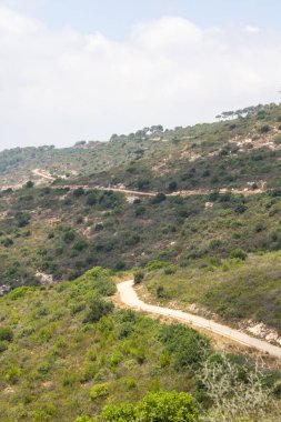 Yaz manzarası. Hayfa Ulusal Parkı, İsrail. Yeşil ağaçlar, tepeler, boş yollar ve mavi gökyüzü. Yeşil Vadi 'nin panoramik manzarası.