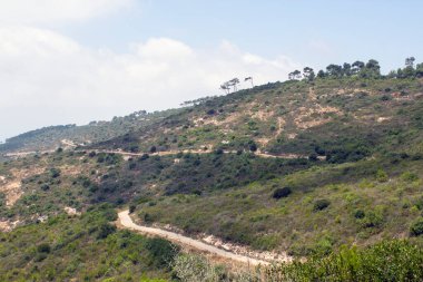 Yaz manzarası. Hayfa Ulusal Parkı, İsrail. Yeşil ağaçlar, tepeler, boş yollar ve mavi gökyüzü. Yeşil Vadi 'nin panoramik manzarası.