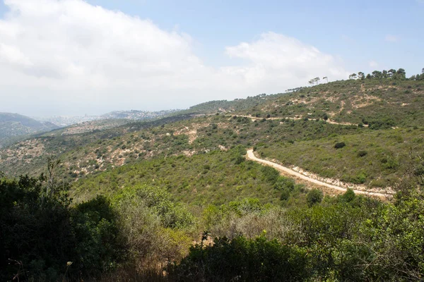 緑の木々や茂み 背景に丘 雲と青空 イスラエルの夏 ハイファの国立公園風景 — ストック写真