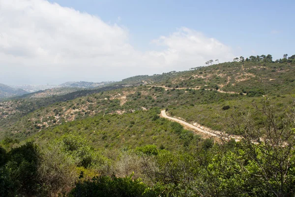 夏の風景 イスラエルのハイファ国立公園 緑の木々 空の道路と青空 緑の谷のパノラマビュー — ストック写真