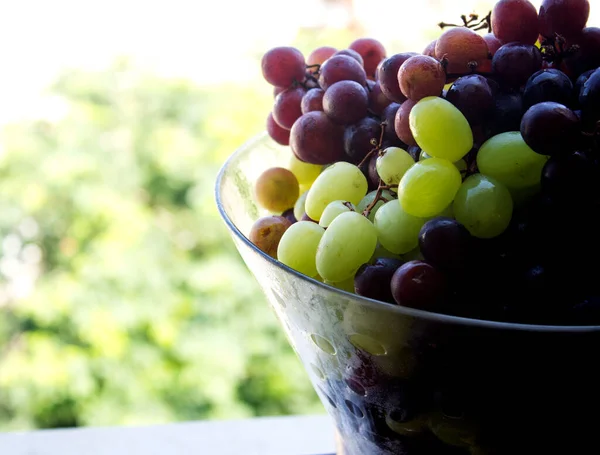 Diferentes Tipos Uvas Vaso Vidro Frutas Verão Fecham Foto Comer — Fotografia de Stock